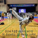 용인대 흑룡합기도 이미지