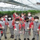 외남초교병설유치원 이미지