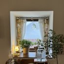 우니카트 이미지