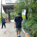 머무름 펫 이미지