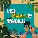 안경나라 경주성건점 | 선글라스자외선 / 선글라스싸게파는곳 / 선글라스추천 / 선글라스싸게맞추는곳 / 경주안경 경주선글라스