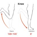 부상방지를 위한 스트레칭 이미지