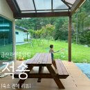 적송 | [충남 금산 금산자연휴양림/적송] 숙소 전 객실 후기 • 근처 가볼만한 곳