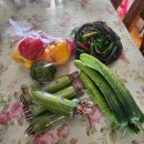 대사신협 앞 이미지