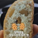 담백한집게