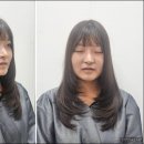 화이트홀헤어