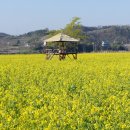 태백가는 길 7차 (남지수변공원-의령 박진고개) 이미지