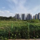 법원/검찰청 이미지