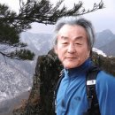목인 이미지