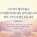 다주여행사