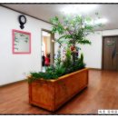 속초중앙교회 이미지