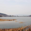 백운호수 산책로 티스토리