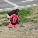 정인목장 이미지