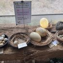 찬우농장 이미지