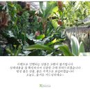 소마일농장 네이버블로그