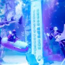 아쿠아리움 이미지