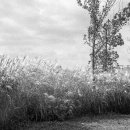 억새풀농장 이미지