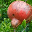 광조민박 이미지