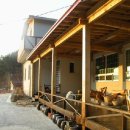 산고운펜션 이미지