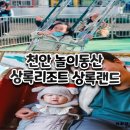매직카랜드 | 천안 상록리조트 상록랜드 아이랑 BIG8 BIG5 후기