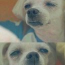 온하