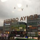 이디야커피 (EDIYA COFFEE) 이미지