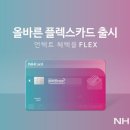 플랙스 9 (FLEX 9) 티스토리