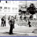 진도초등학교 이미지