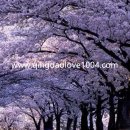 중산공원 이미지