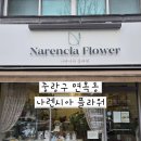 면목동-104 | 창동 꽃집 / 노원 꽃집 면목동 나렌시아 플라워샵 방문 후기 🌸 (연중무휴 / 서울 중랑구 면목동 67-4)
