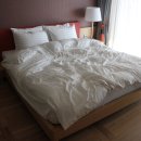 코나세르스파 이미지