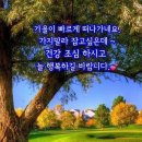 언제나,예쁘다 이미지