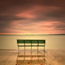 안치환,정호승을 노래하다 이미지