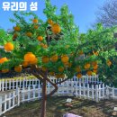(주)제주 유리의 성 이미지