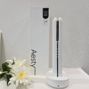 에스티 | 무선고데기 추천 에스티 헤어 스트레이트너 후기