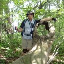 동대산 주차장 이미지