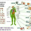 톡스헤어매직