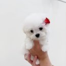 대홍약국 이미지