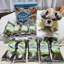 주식회사 펫클럽 이미지