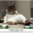 친구 당구장 이미지