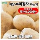 수미테크 이미지