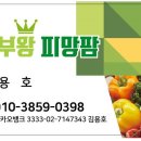 왕팜 이미지