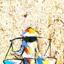 영신번역사 이미지