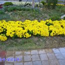 봉학골산림욕장 이미지