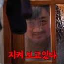 레인보우캠핑장⛺ 아이들의 천국, 아빠의 힐링처, 서울 근교 타프존 레인보우캠핑장 솔직 후기! (C5 사이트)