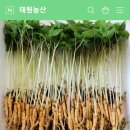 태원농산 - 하남시 초광로 181 | 태원농산