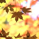 나서울은혜교회 이미지