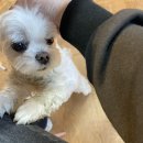 용산-238 | 용산취미미술 위드마레스튜디오 아이패드 드로잉 원데이클래스 후기 포르투갈 어반 드로잉