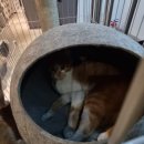 (주)스파크랜드 이미지