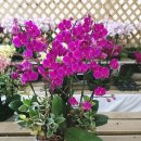 양평성모의원 이미지